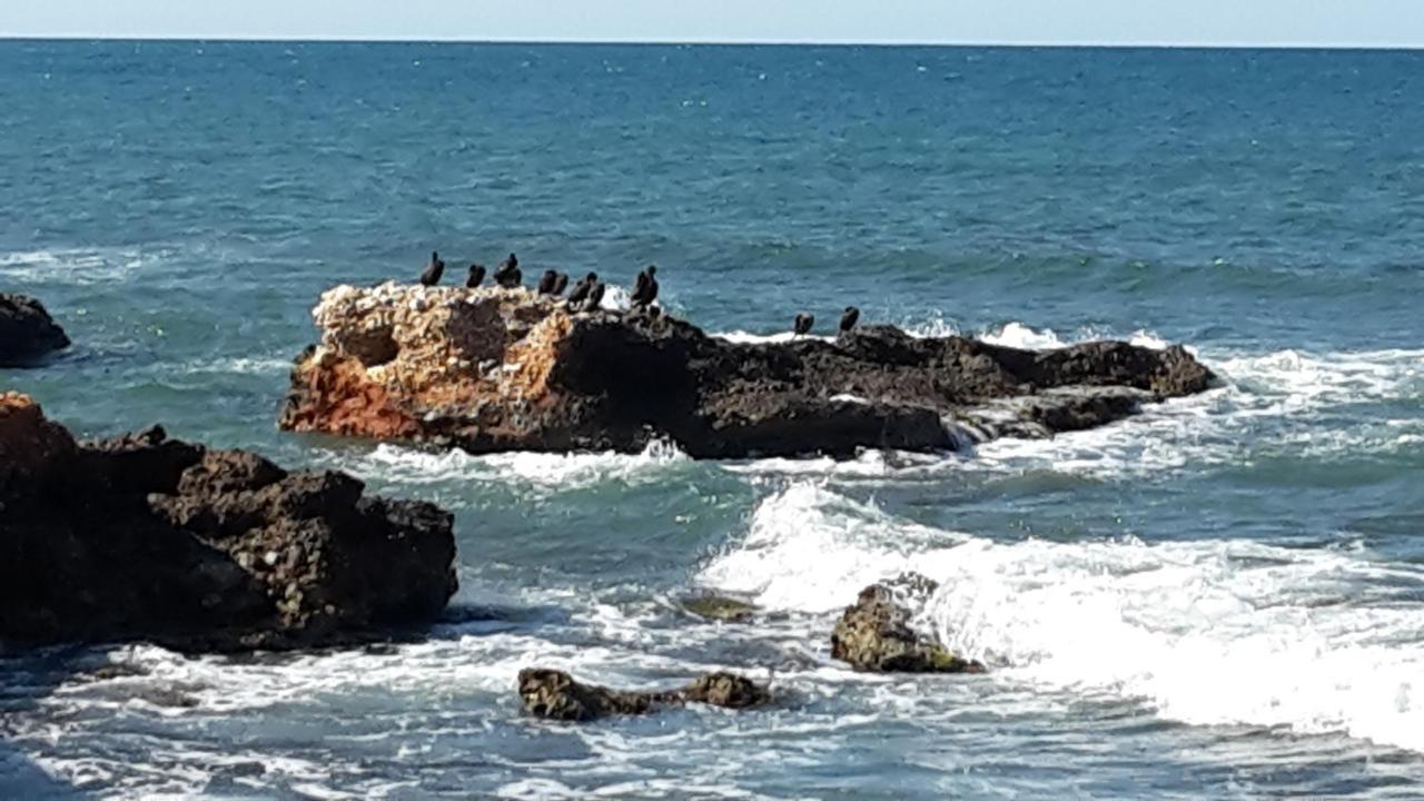 Precioso Apart Sur Y Norte Cerca Playa Y Centro - Cascadas De La Marina دينايا المظهر الخارجي الصورة