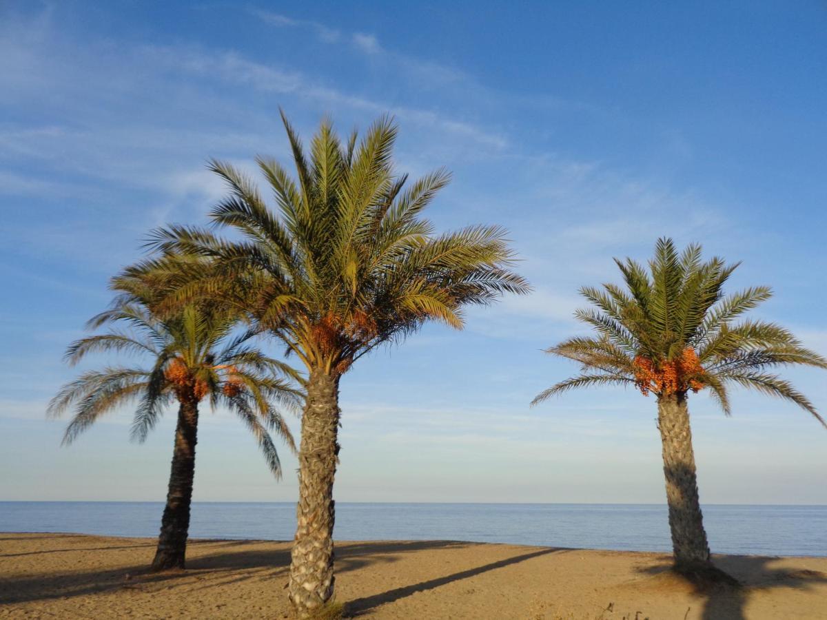 Precioso Apart Sur Y Norte Cerca Playa Y Centro - Cascadas De La Marina دينايا المظهر الخارجي الصورة